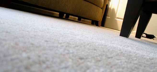 Easy Carpet Cleaning Tips: Remove Stains and Odours  Carpet Cleaners Near Me